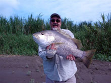 bass_comp_2010_009_220px.jpg - 11432 Bytes